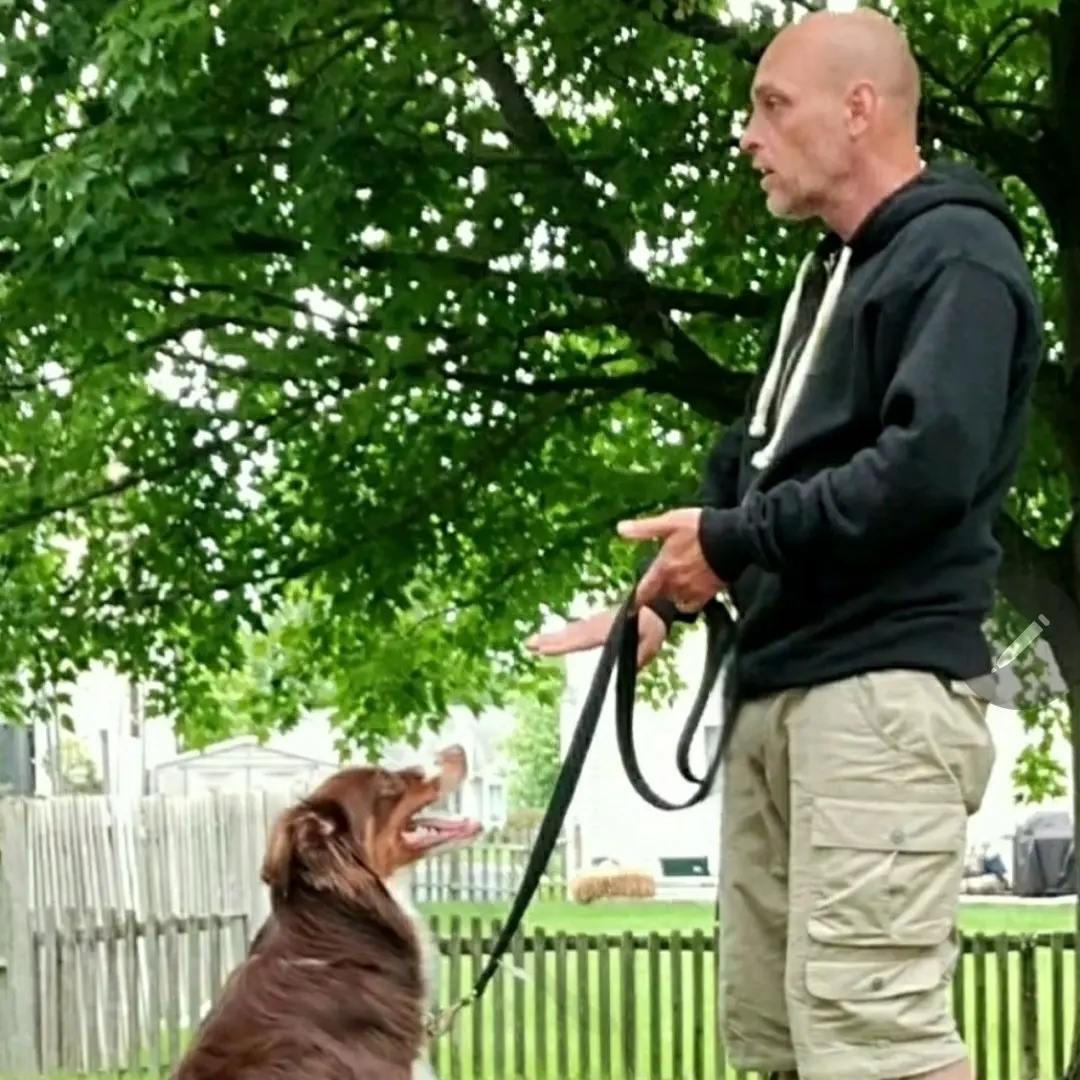 Steve the Dogman giving a private in home lesson