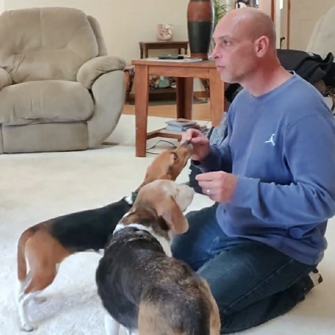 Steve the Dogman giving a treat to a beagle