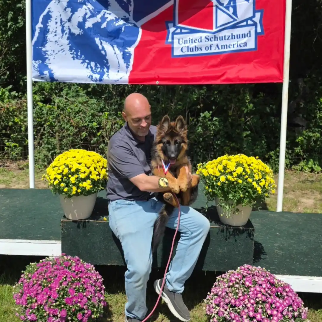 Steve the Dogman winning a medal with his german shepherd puppy